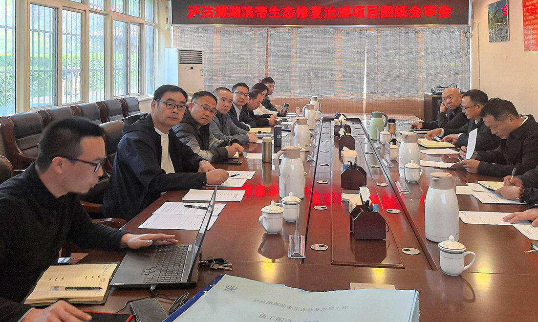 以协同之力与专业担当，推进湖滨带生态修复提速