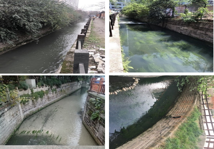 成都武侯区高攀河水质提升项目1.png